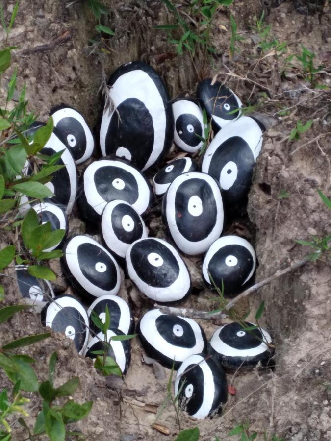 Do Pequi São Gonçalo do Rio das Pedras